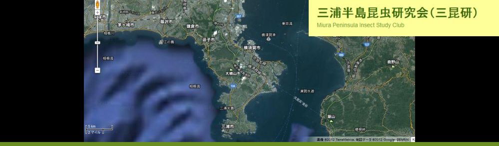 三浦半島昆虫データベース